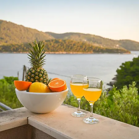 Ferienhaus Island View - Tudorovica